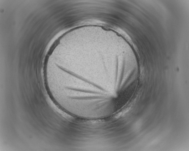 X0000078300947200611251505