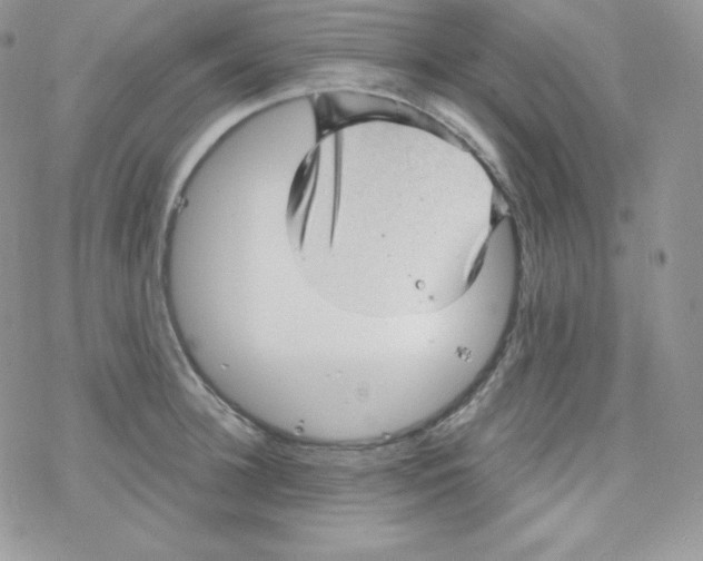 X0000078300948200611251505