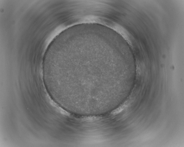 X0000078300950200611251505