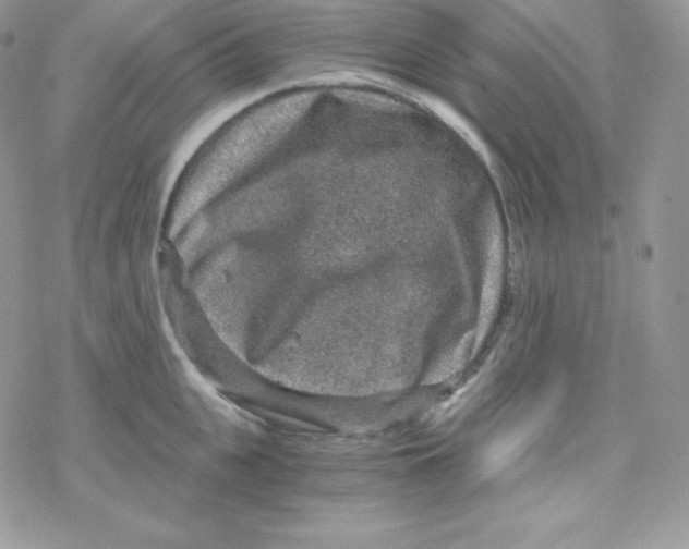 X0000078300951200611251505