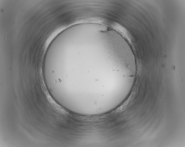 X0000078300952200611251505