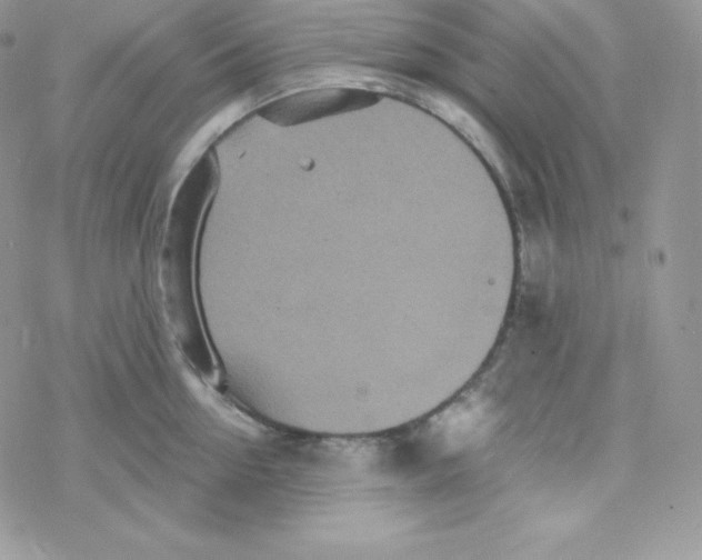 X0000078300954200611251505