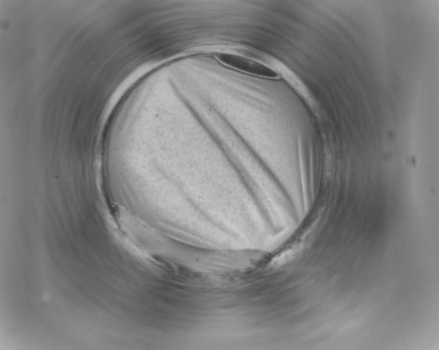 X0000078300955200611251505