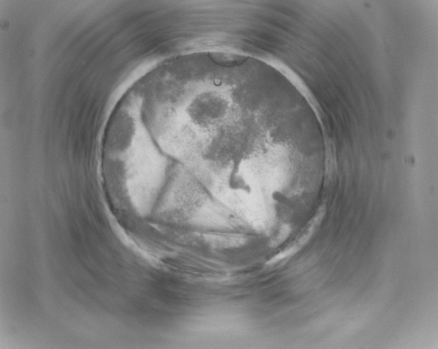 X0000078300957200611251505