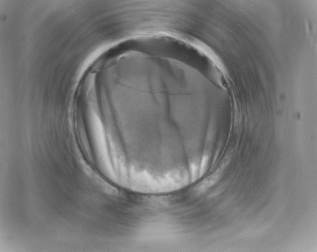 X0000078300958200611251505