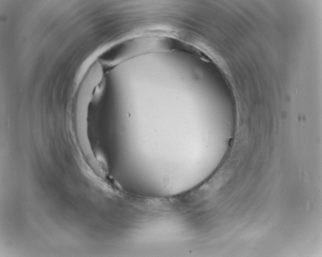 X0000078300960200611251505