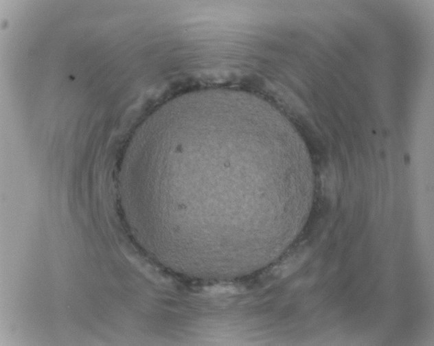 X0000078300961200611251504