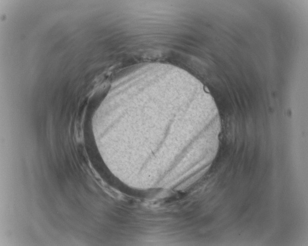 X0000078300962200611251504