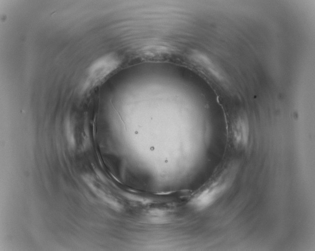 X0000078300964200611251504