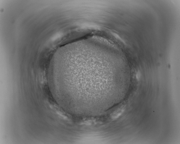 X0000078300965200611251504