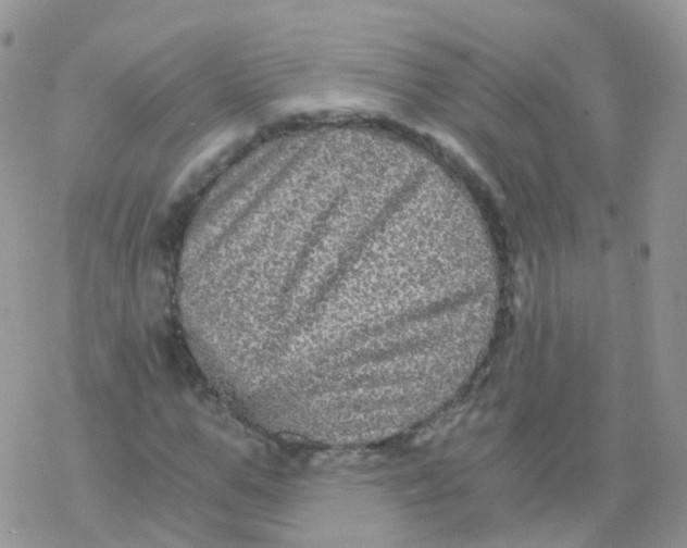 X0000078300967200611251504