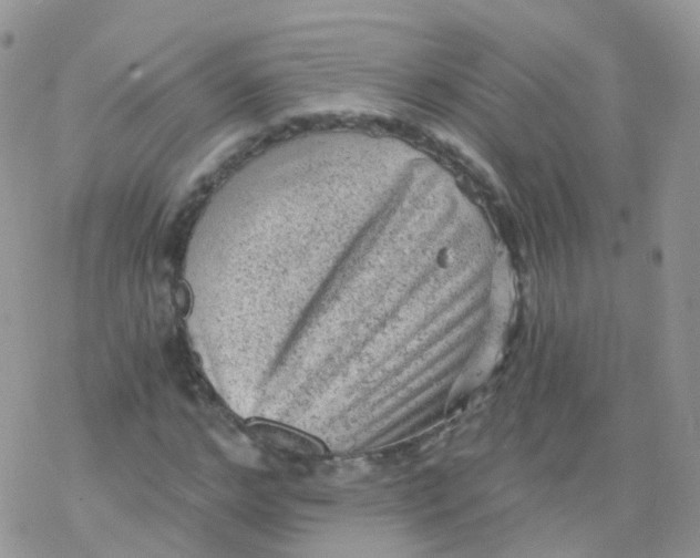 X0000078300968200611251504