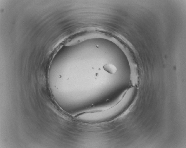 X0000078300969200611251504