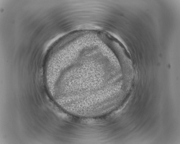 X0000078300971200611251504