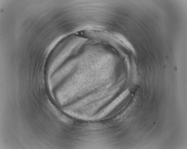 X0000078300972200611251504