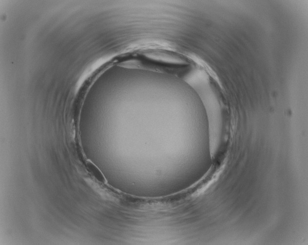 X0000078300973200611251504