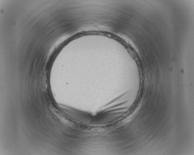 X0000078300974200611251504