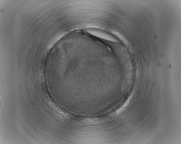 X0000078300977200611251504