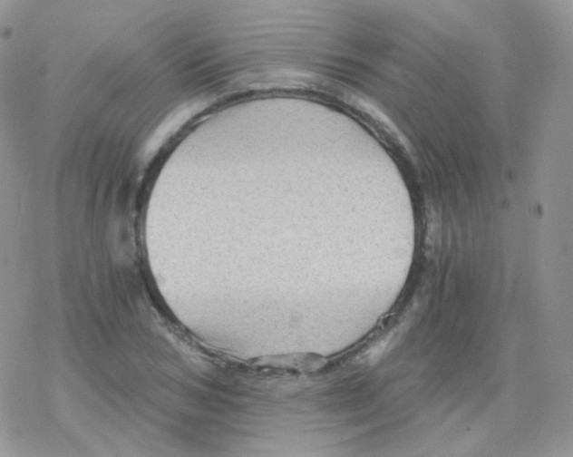 X0000078300978200611251504