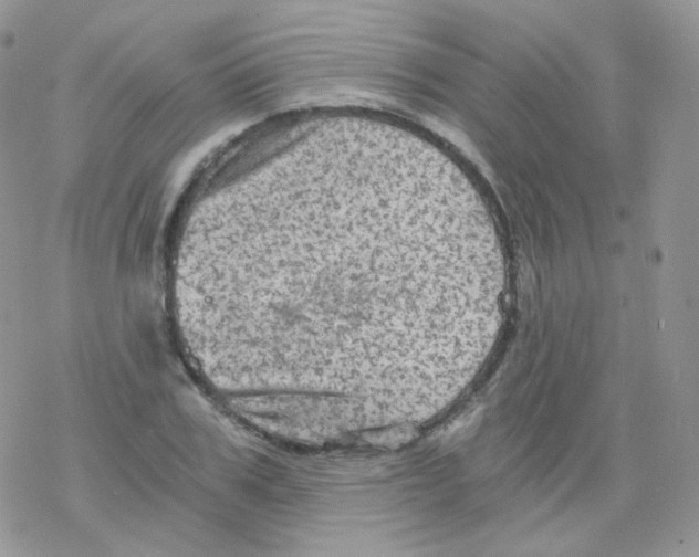 X0000078300979200611251504