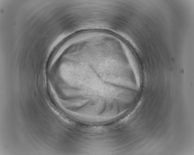 X0000078300982200611251504