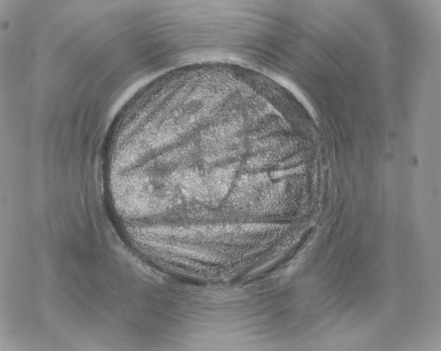 X0000078300983200611251504