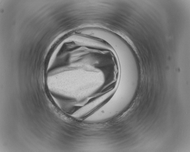 X0000078300984200611251504