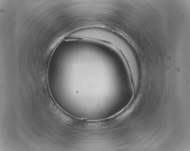 X0000078300985200611251504