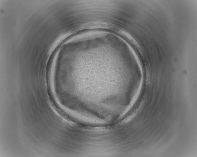 X0000078300986200611251504