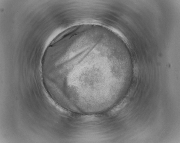 X0000078300990200611251504