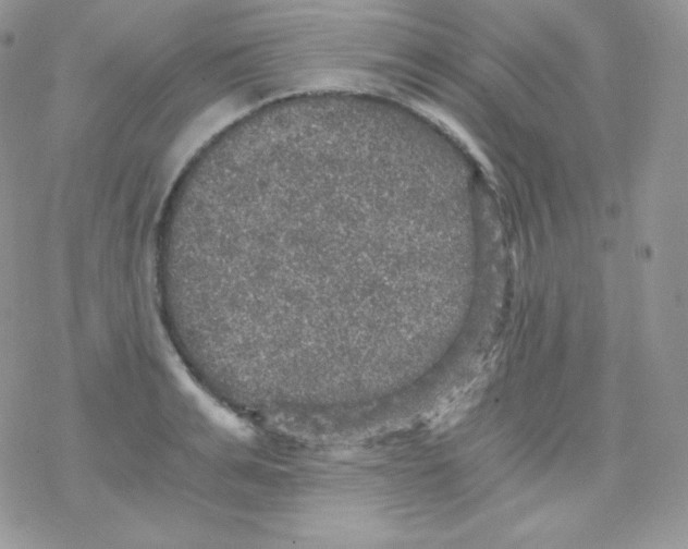 X0000078300991200611251504