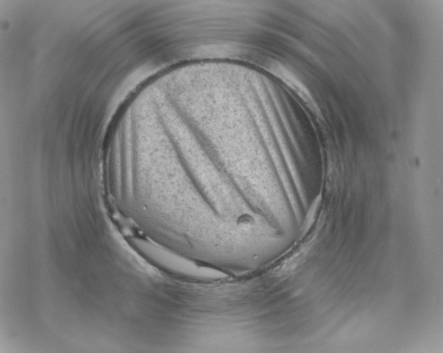 X0000078300992200611251504