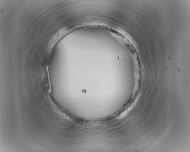 X0000078300993200611251504