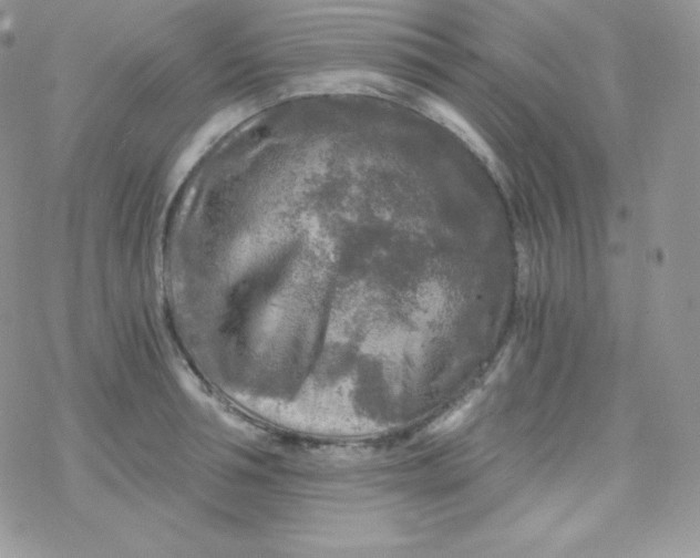 X0000078300994200611251504