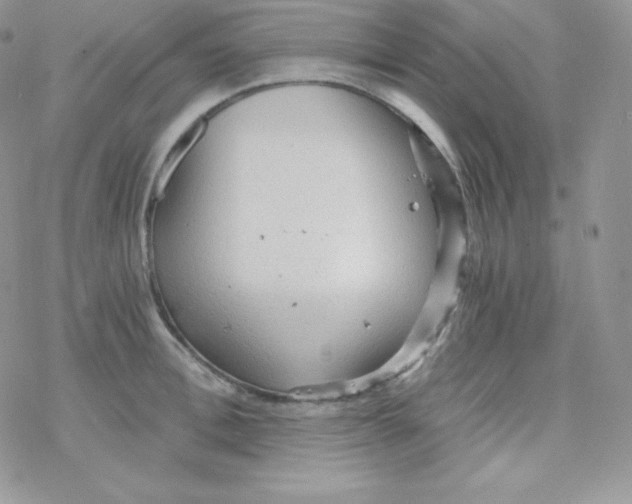 X0000078300996200611251504