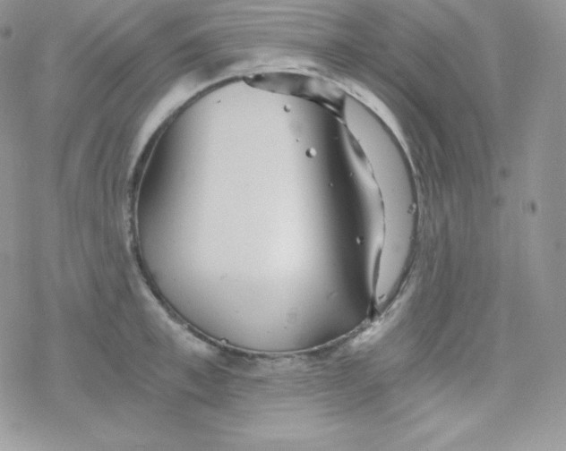 X0000078300997200611251504