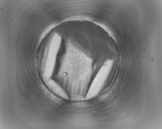 X0000078300998200611251504