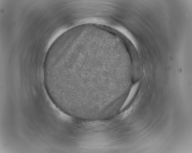 X0000078300999200611251504