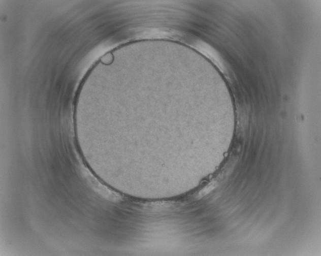 X0000078301000200611251504