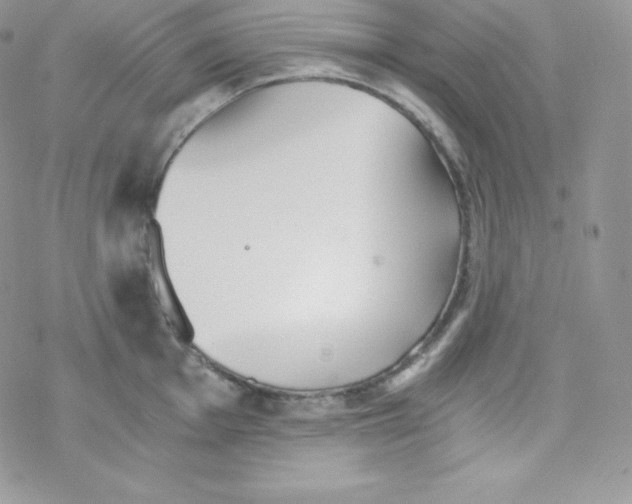 X0000078301001200611251504