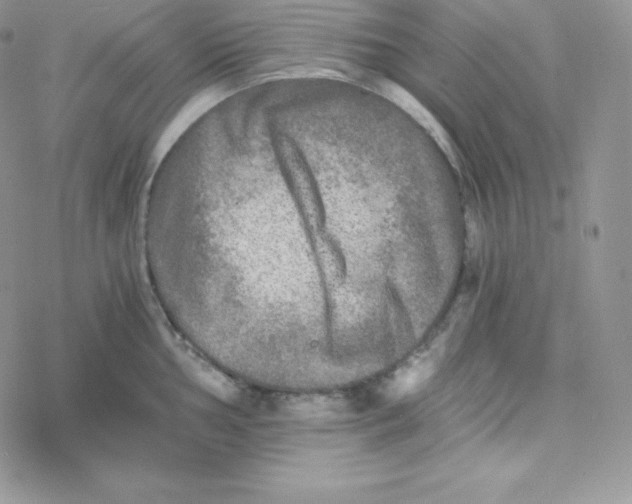 X0000078301002200611251504