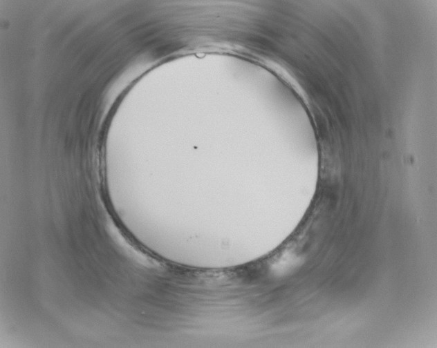 X0000078301003200611251504