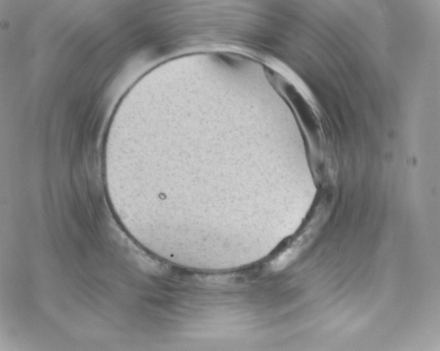 X0000078301004200611251504