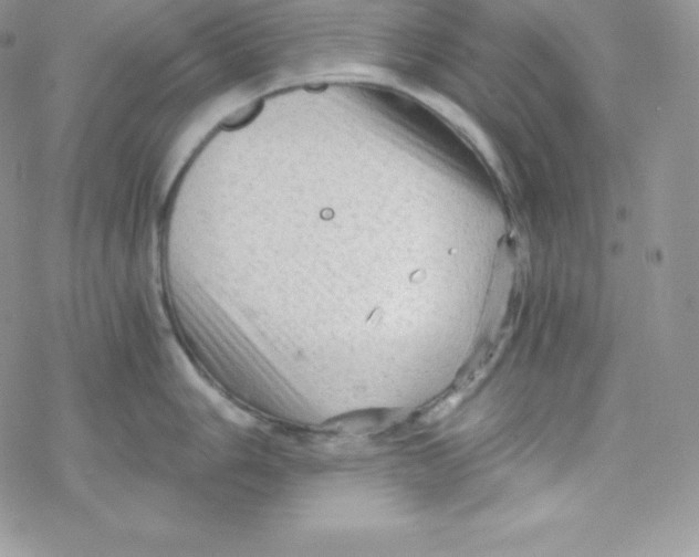 X0000078301006200611251504