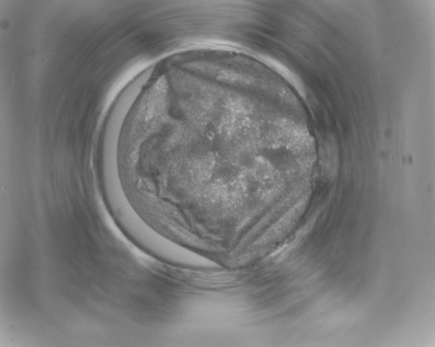 X0000078301007200611251504