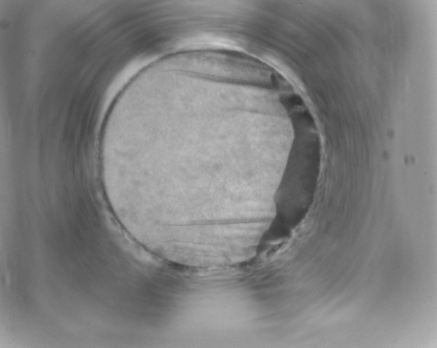 X0000078301008200611251504