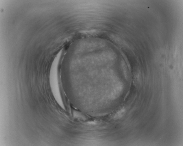 X0000078301010200611251503