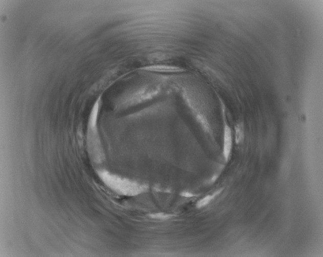 X0000078301011200611251503