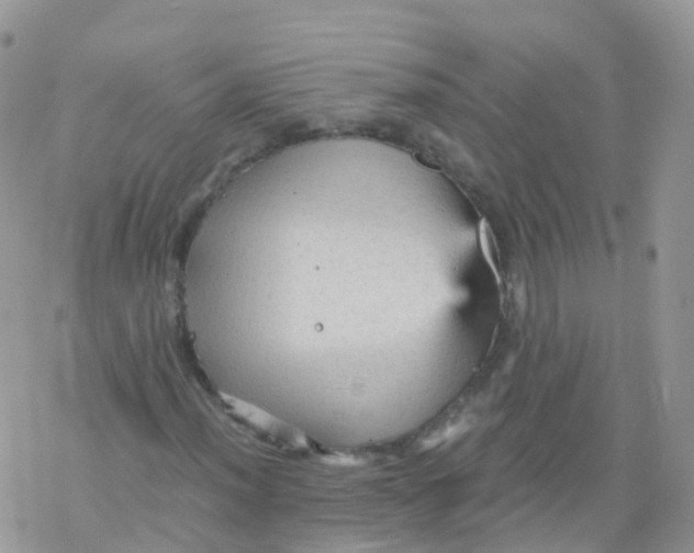 X0000078301012200611251503