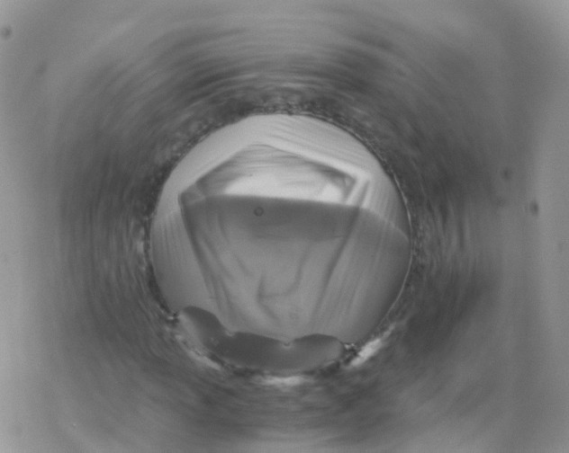 X0000078301013200611251503